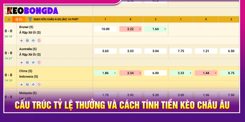 Cách tính tỷ lệ thưởng chi tiết của kèo châu âu
