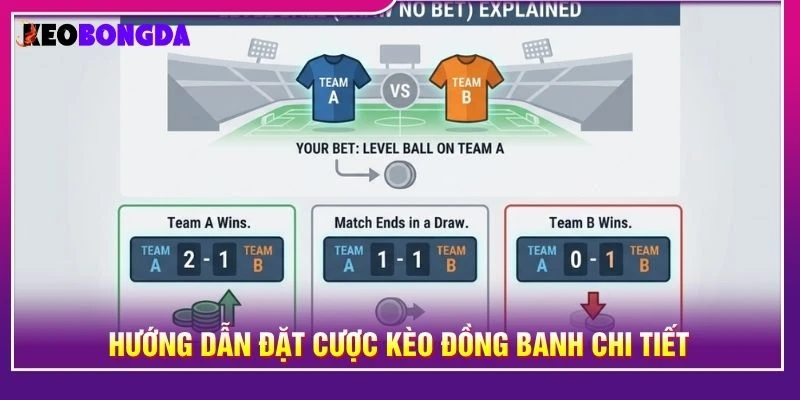Hướng dẫn đặt cược kèo đồng banh chi tiết