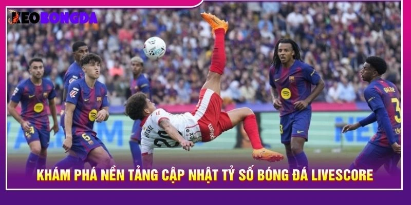 Khám phá nền tảng cập nhật tỷ số bóng đá livescore